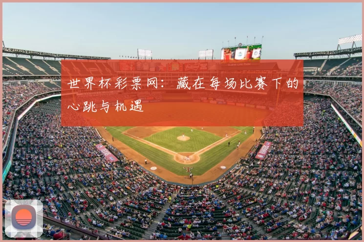 世界杯彩票网：藏在每场比赛下的心跳与机遇