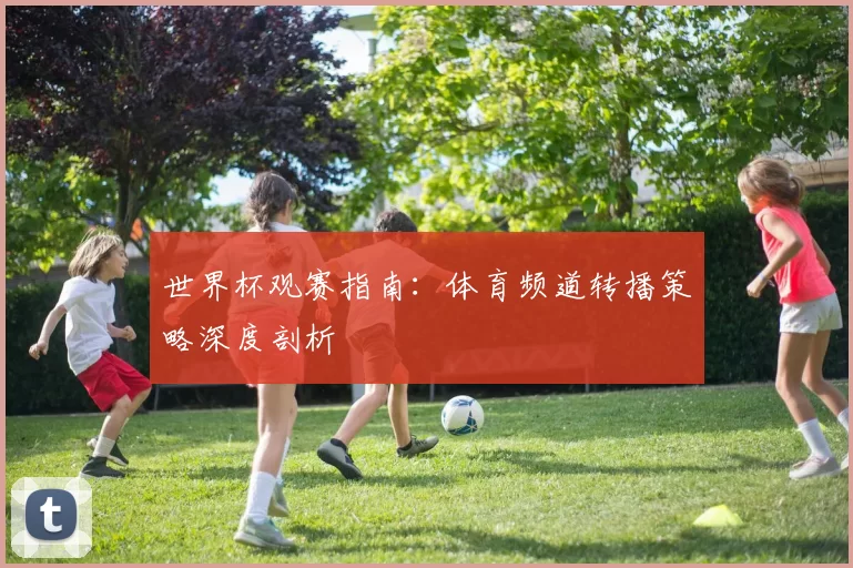 世界杯观赛指南:体育频道转播策略深度剖析