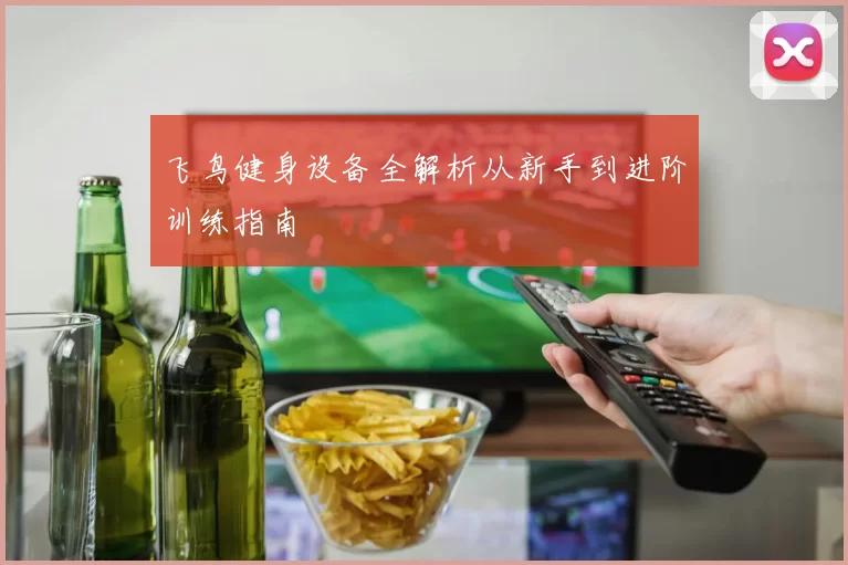 飞鸟健身设备全解析从新手到进阶训练指南