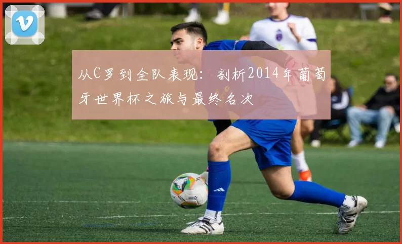 从C罗到全队表现：剖析2014年葡萄牙世界杯之旅与最终名次