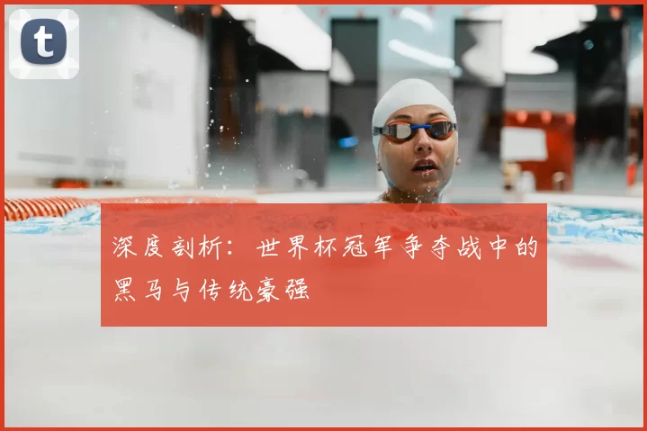 深度剖析：世界杯冠军争夺战中的黑马与传统豪强