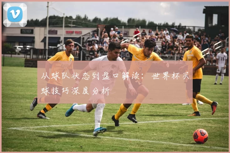 从球队状态到盘口解读:世界杯买球技巧深度分析