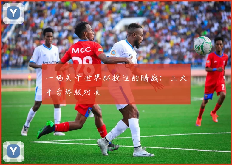 一场关于世界杯投注的暗战:三大平台终极对决