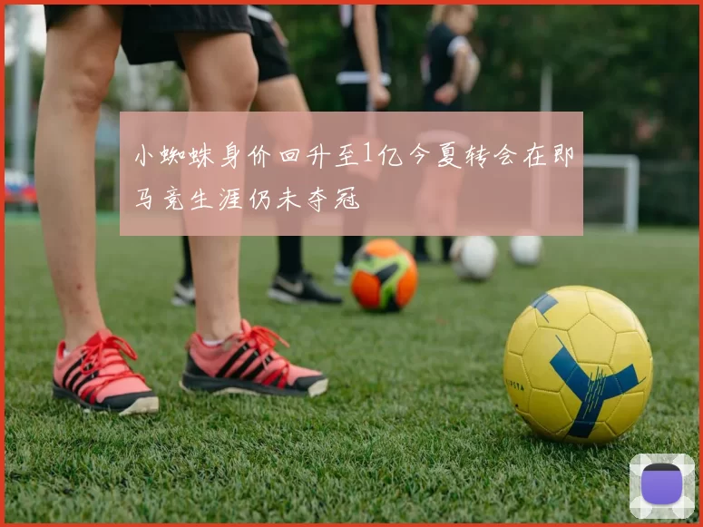 小蜘蛛身价回升至1亿今夏转会在即马竞生涯仍未夺冠