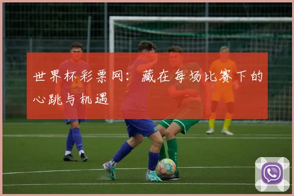 世界杯彩票网:藏在每场比赛下的心跳与机遇