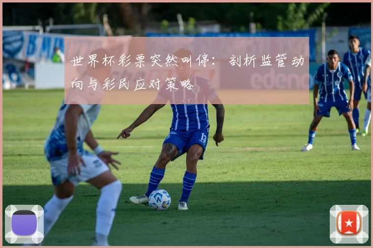 世界杯彩票突然叫停:剖析监管动向与彩民应对策略