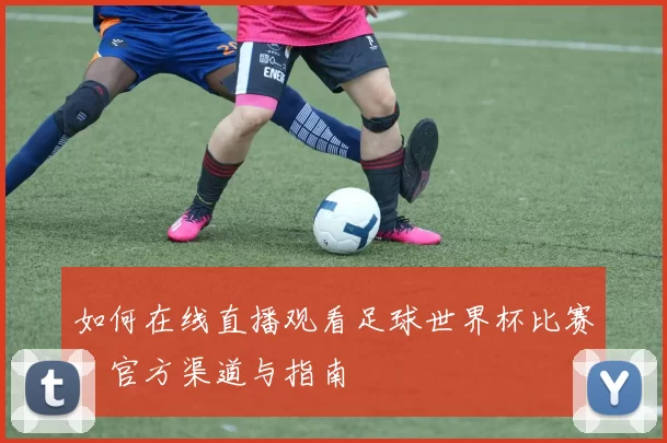 如何在线直播观看足球世界杯比赛：官方渠道与指南