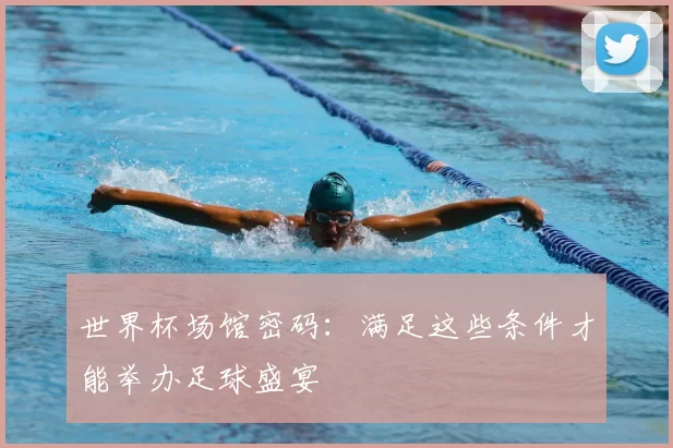 世界杯场馆密码：满足这些条件才能举办足球盛宴