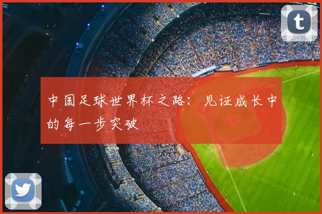 中国足球世界杯之路:见证成长中的每一步突破